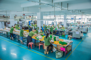 Shenzhen Mi Diya Paper Packing Co., Ltd. manufacturer production line